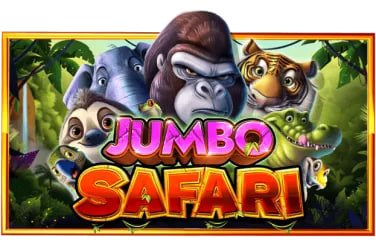 6686 bet
