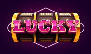 6686 bet