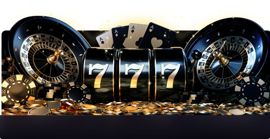 6686 bet